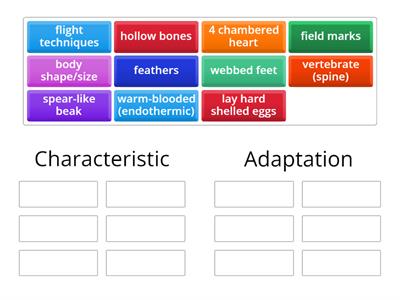 Characteristic vs Adaptation 