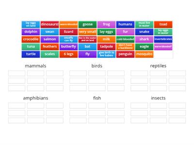 Animals - classification