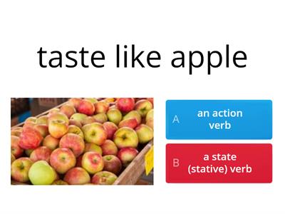 Action Verbs & State (Stative) Verbs 