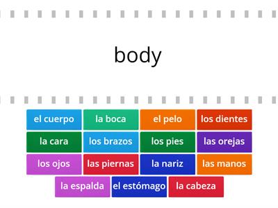 Spanish Body Parts (pt 1)