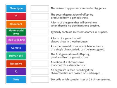 Genetics - Teaching resources