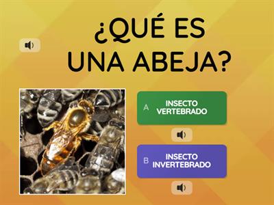  ¿CUÁNTO SABEMOS SOBRE LAS ABEJAS?