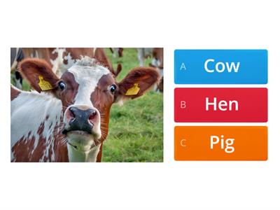  FARM ANIMALS QUIZ - group 1 (wk4)