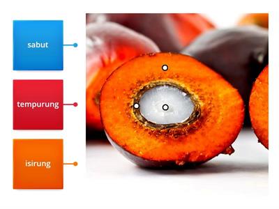 Melabel Keratan Rentas Buah Kelapa Sawit