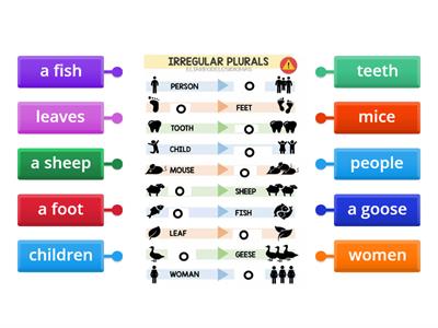  Irregular plural nouns - nepravilna množina samostalnikov