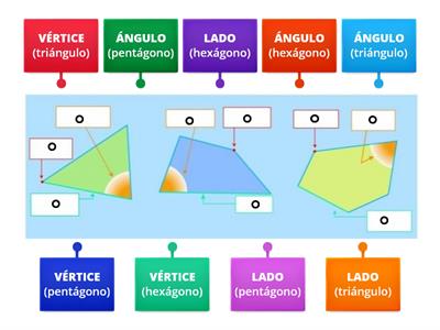 PARTES DE LOS POLÍGONOS