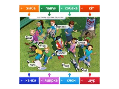 p.46 Pet show English 1 grade Пухта