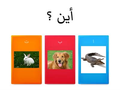  الحيوانات (تمساح) حاكم