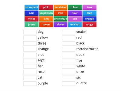 P5 French Revision 