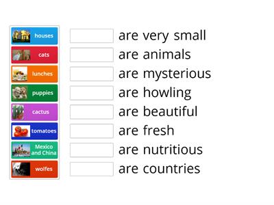 Noun + Are + Noun: Plural