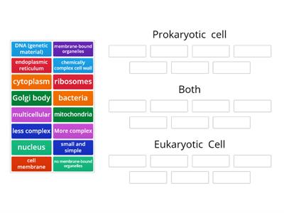  Prokaryotic cell vs Eukaryotic Cell
