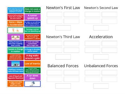 Newton's Laws (2020-2021)