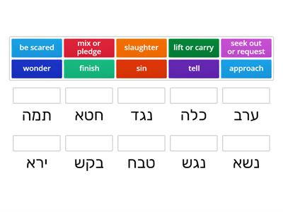 Shorashim List #8