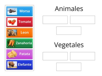 Animal o Vegetal