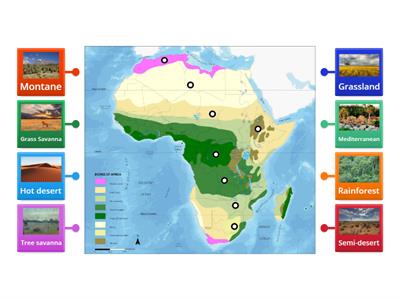 African Biomes