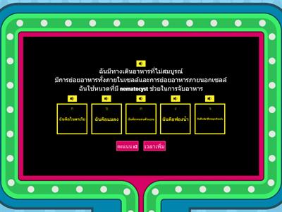 ทายสิ้ ฉันคือตัวอะไร ?