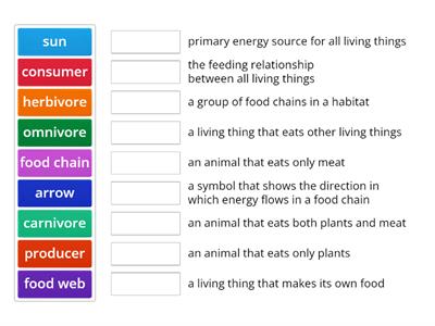 Food Chain/Food Web 2.2 Vocabulary