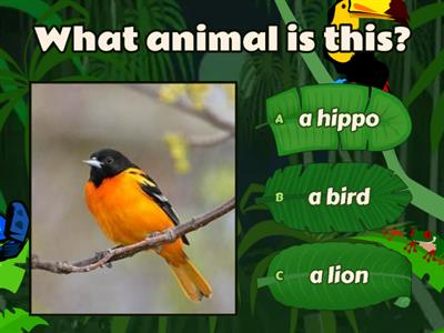 English Test N°4 - 2nd Grade (Wild Animals)