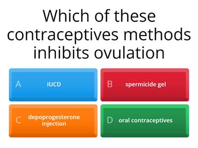 word wall quizz on female reproductive system