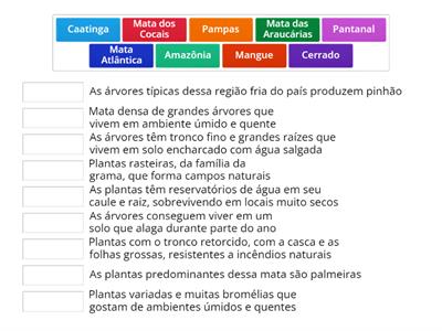 Características Ecossistemas Brasileiros