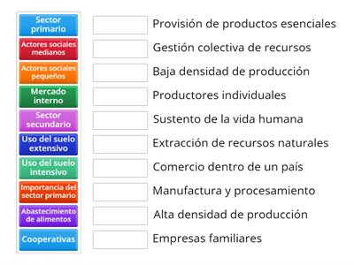 Explorando los Sectores Económicos y Uso del Suelo