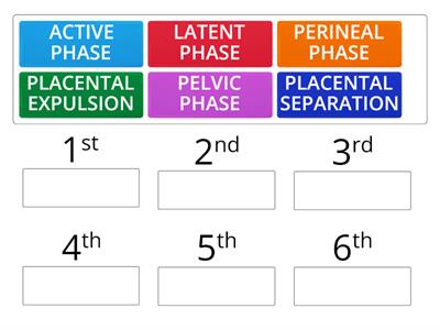PHASES OF LABOR
