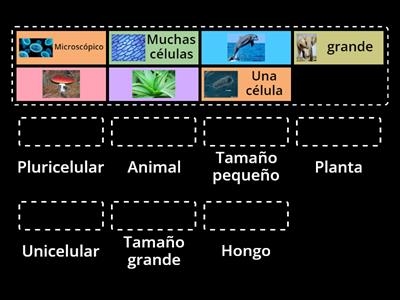 Clasificación 1