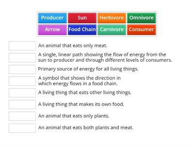 Food Chain Vocabulary