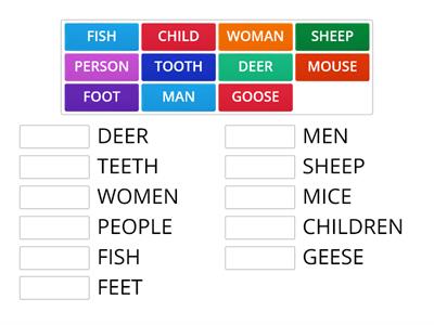 Irregular Plural Nouns