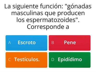 Sistema Reproductor Masculino