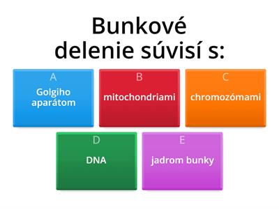 Delenie buniek