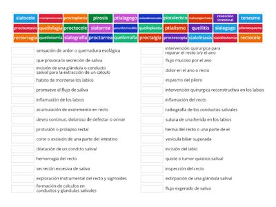 Terminología del aparato digestivo parte 6