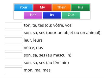 Possessive adjectives