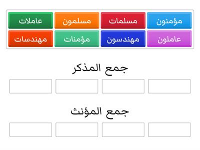 جمع (المؤنث والمذكر) الصف الثاني