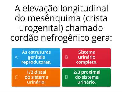 Questionário - Embriologia do Sistema Urinário