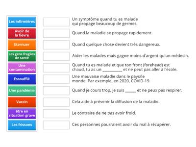 French Pandemic Vocab 