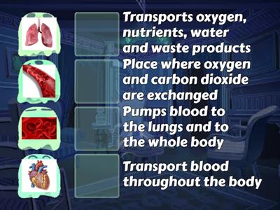 MAIN PARTS IN BLOOD CIRCULATORY SYSTEM AND THEIR FUNCTIONS (YEAR 5) LEARNING WITH TEACHER ZIZIE ARDINA