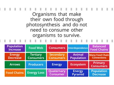 Energy Transfer In An Ecosystem - Teaching Resources