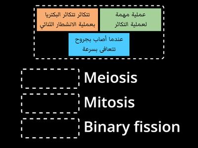 الانقسام الخلوي