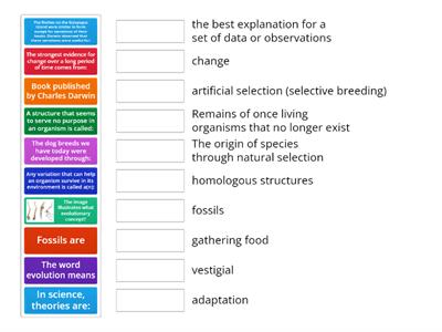 Evolution keywords