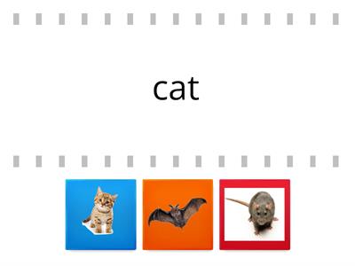 cat, rat, bat