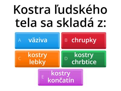 Oporná sústava - kostra - 2. časť