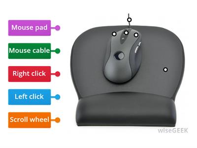 Computer mouse - Labelled diagram (Wk-8)