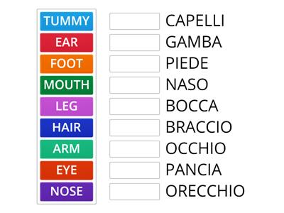 LE PARTI DEL CORPO IN INGLESE