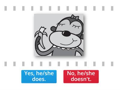 Yes no questions - Teaching resources