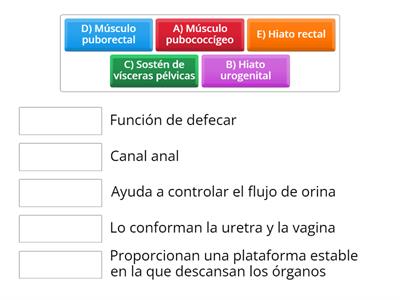 Apliquemos lo aprendido 