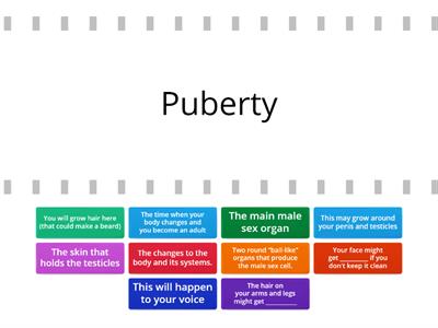 Puberty - Find the Match