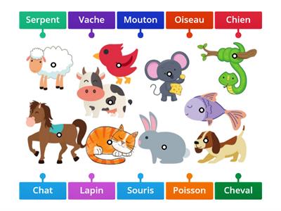 French- Animals 