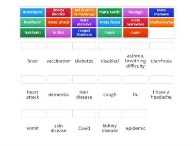 Māori health and illness