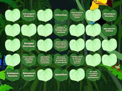 Evolution Vocabulary Review- Part 3 quiz